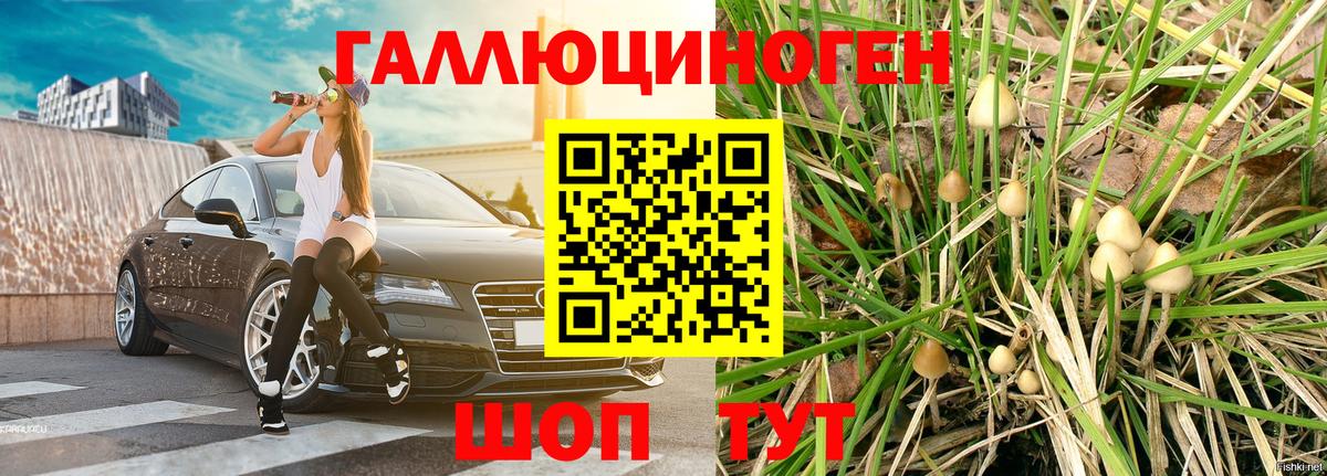 Кострома  наркота  Вход с VPN  Псилоцибиновые грибы мицелий  Псилоцибиновые грибы мухоморы 