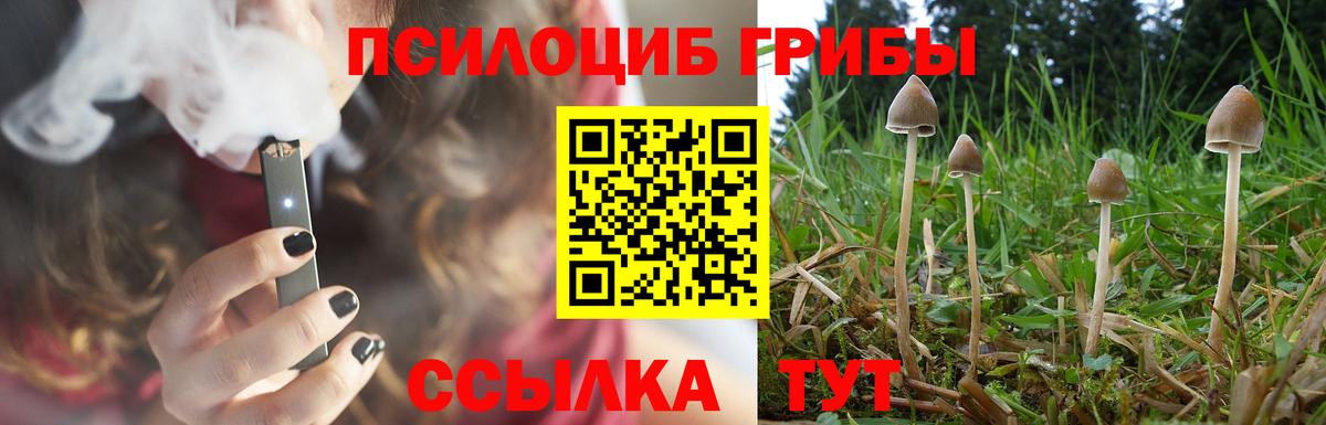 Галлюциногенные грибы ЛСД Кострома